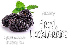 Fresh Blackberries | A cute font
