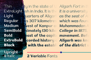 Aligarh - Stylish Slab Font Family