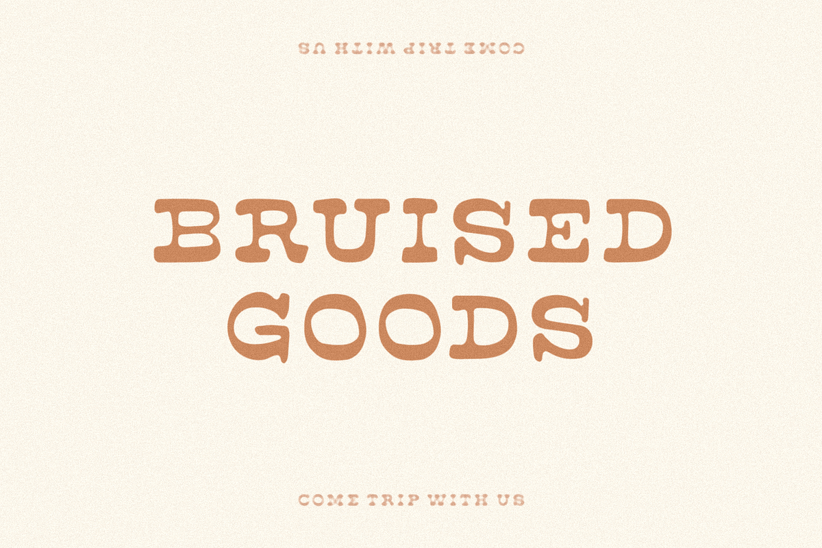 Road Trip, a Slab Serif Font by Bruised Goods