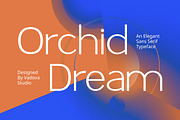Orchid Dream – Elegant Sans Serif, a Sans Serif Font by Vadovastd (Thumbnail 1 of 7)