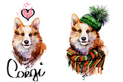 Set corgi dog fineart .6 styles, an Animal Illustration by art_mouse (Thumbnail 2 of 7)