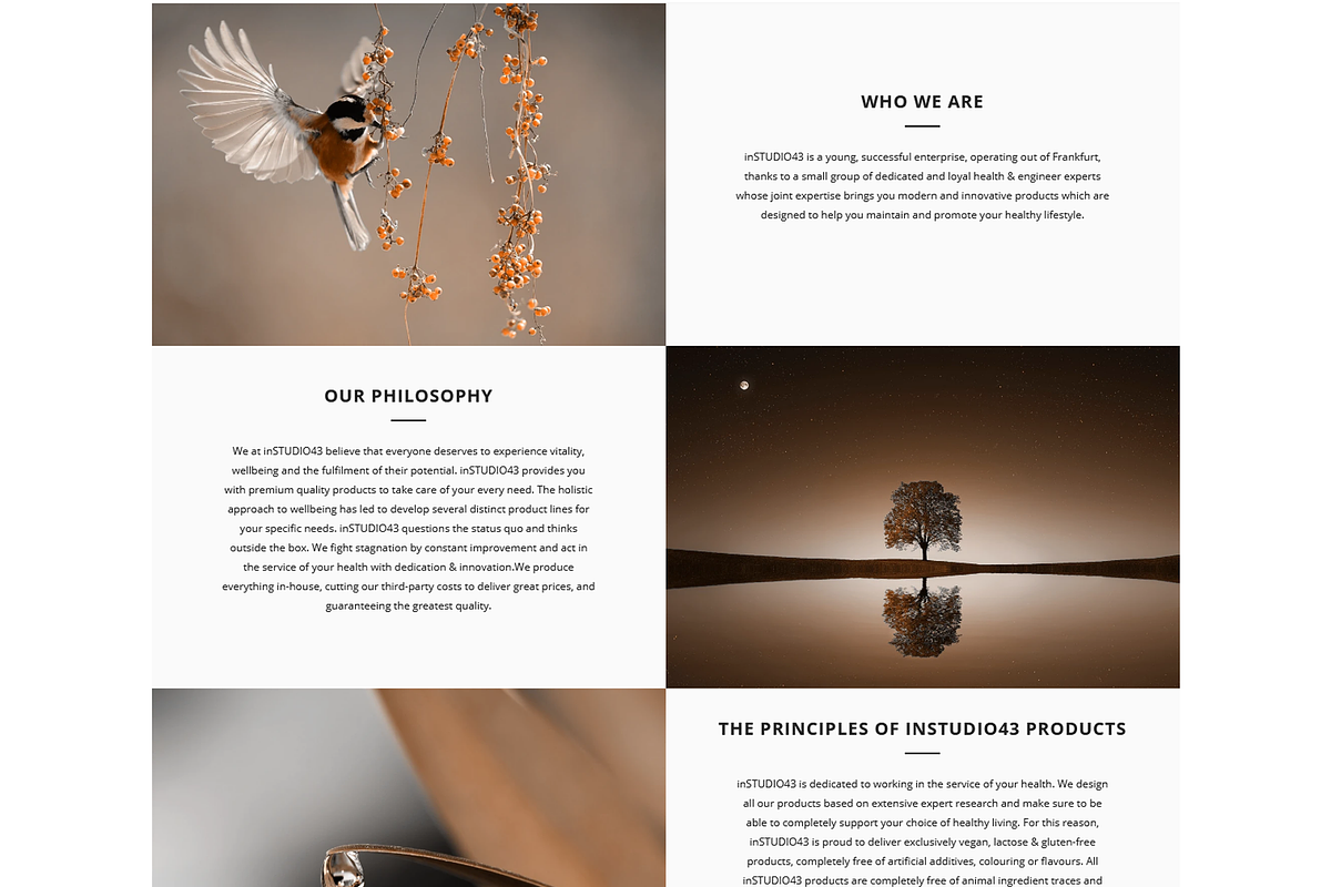 NUTRIMED - Shopify Theme, a Shopify Template by inSTUDIO43 (Photo 4 of 9)