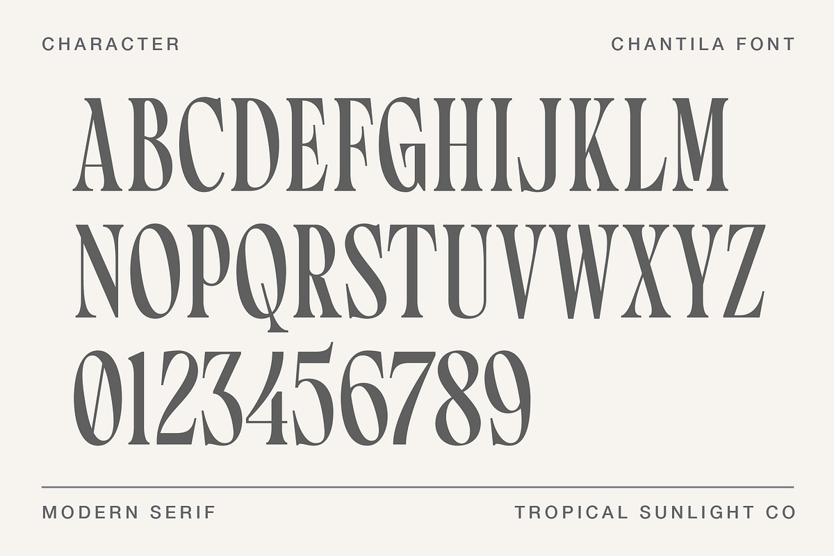 Chantila - Modern Serif Font, a Serif Font by TropicalSunlightCo. (Photo 7 of 10)