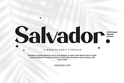 Salvador - Modern Serif Typeface, a Serif Font by overlaytemplates (Thumbnail 1 of 5)