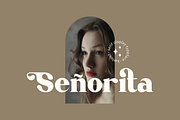 Karlout, a Serif Font by RT Studio (Thumbnail 6 of 15)