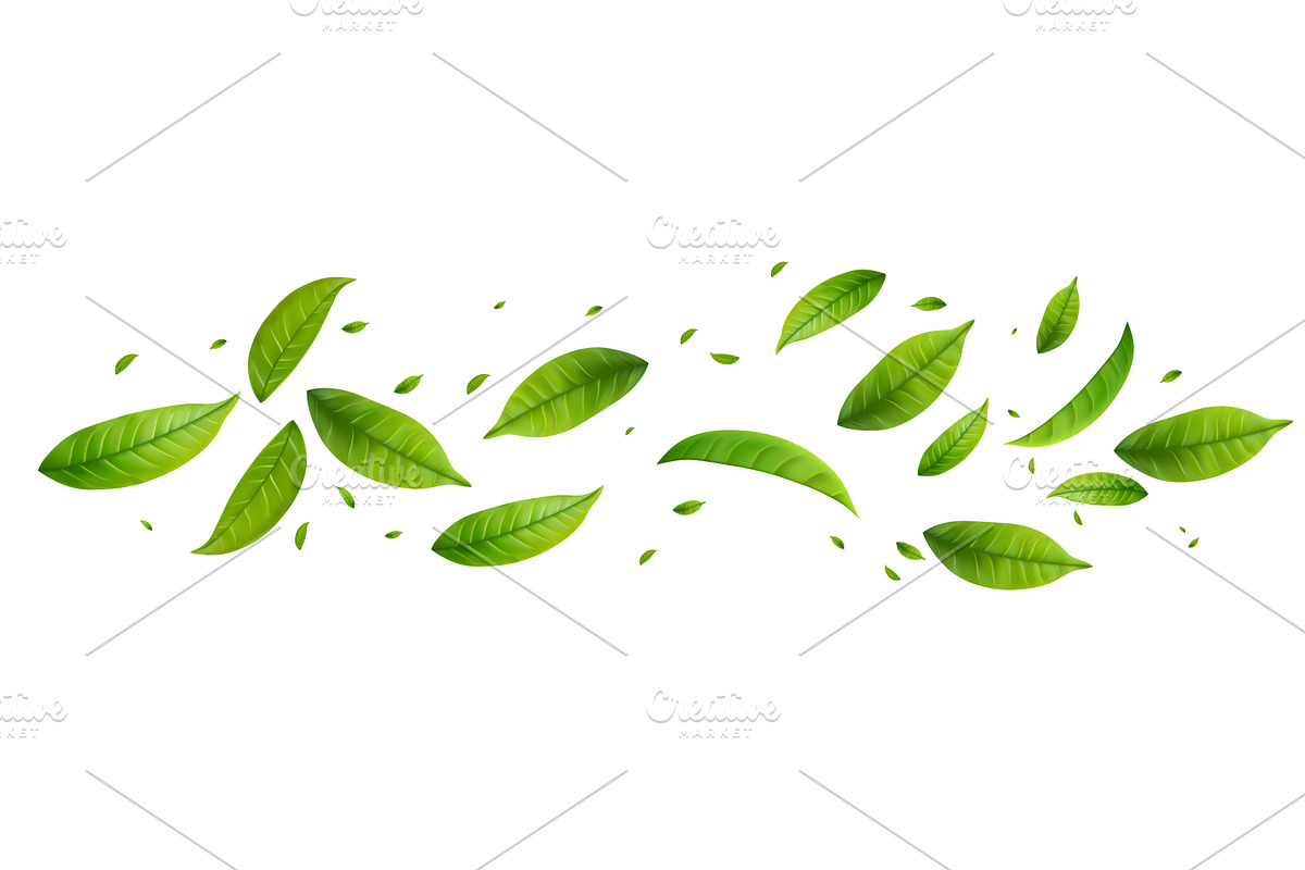 Green Floating Leaves, an Object Illustration by ModVector