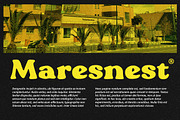 Blogeris Display, a Handwritten Font by Youngtype.Std (Thumbnail 8 of 10)