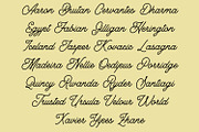 Jinglers - Monoline Script Font, a Script Font by Arendxstudio (Thumbnail 4 of 11)