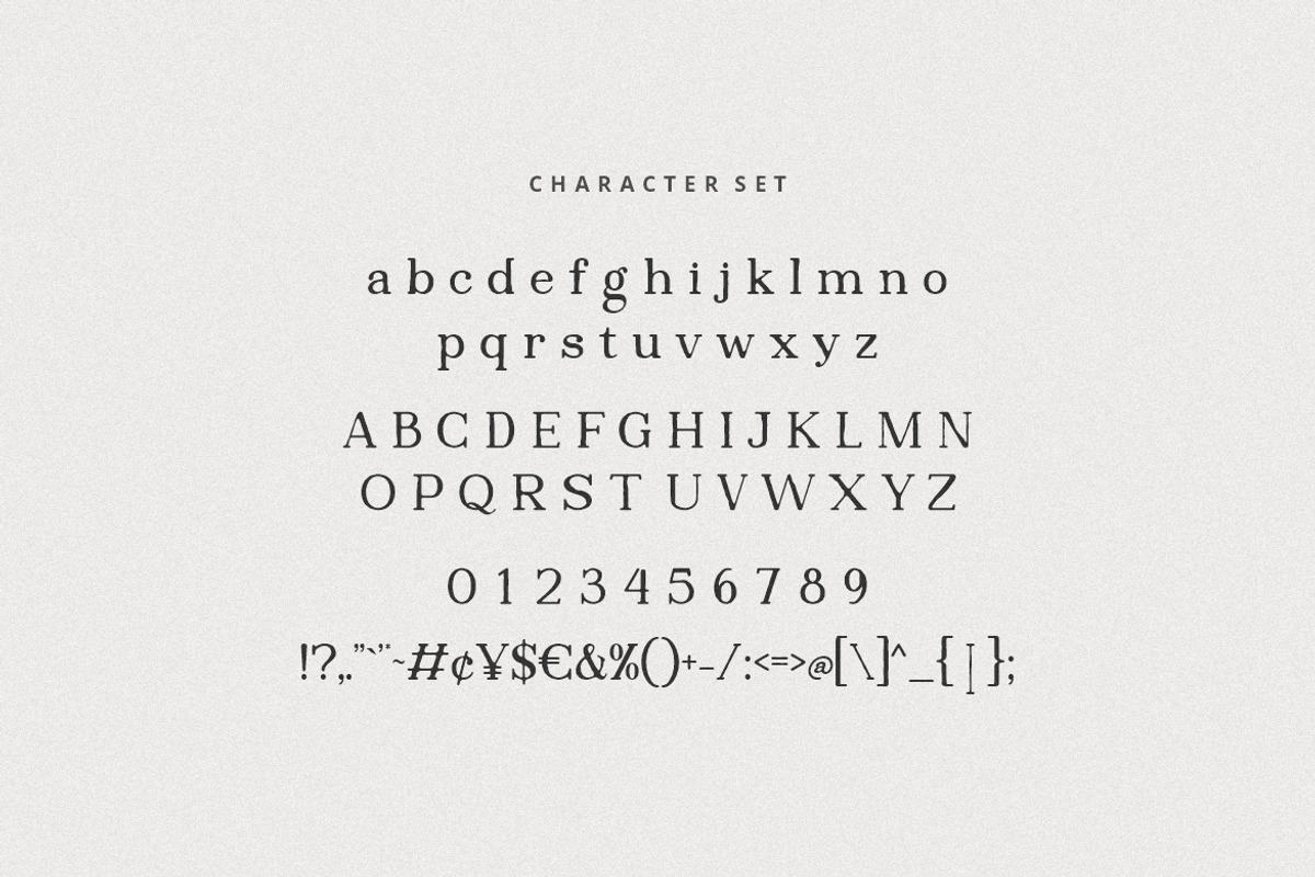 Inktype Font, a Serif Font by Burhan Afif (Photo 8 of 10)