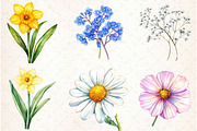 Watercolor Flower Clipart, an Illustration by Watercolor design (Thumbnail 3 of 4)