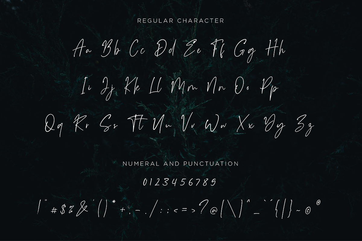 Monatta - Luxury Signature Font preview 7