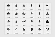 Pressed Leaves Photoshop Brushes, a Brush Add-On by Little Bean (Thumbnail 5 of 5)