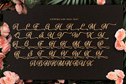Numberline Ordinary - Script Font, a Script Font by Graphicxell (Thumbnail 5 of 10)