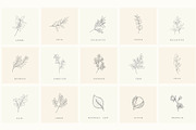 Botanical Hand Drawn Designs, Logos, a Seasonal Illustration by Designwork (Thumbnail 17 of 22)