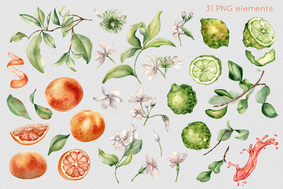Citrus fruits and flower watercolor, a Decorative Illustration by Kate Lanbina (Photo 2 of 20)