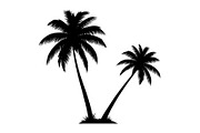Summer Beach Palm Bundle, an Illustration by jahid234 (Thumbnail 16 of 21)
