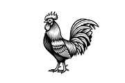 Rooster Chicken Silhouette Bundle, an Illustration by Designs_River (Thumbnail 4 of 51)
