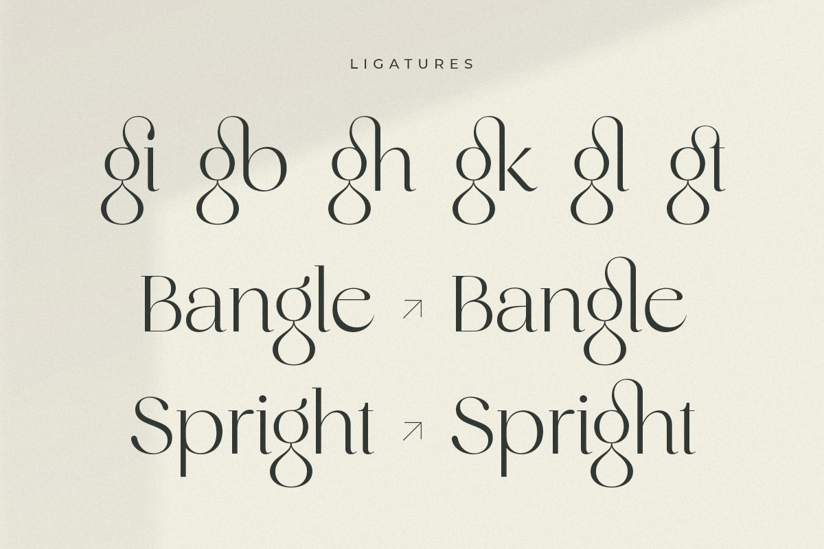 Original - Classy Branding Font, a Serif Font by Sensatype (Photo 9 of 19)