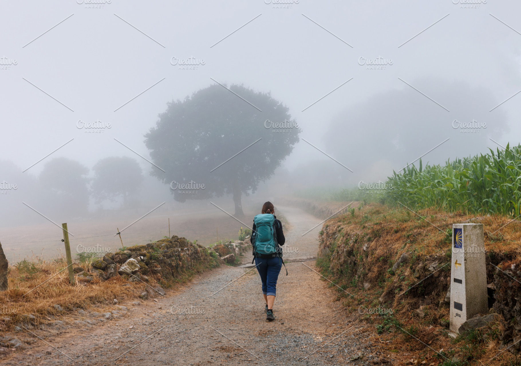 Pilgrim Walking on Foggy Camino de Santiago Trail, Galicia, Spai, a Person Photo by Bepslabor