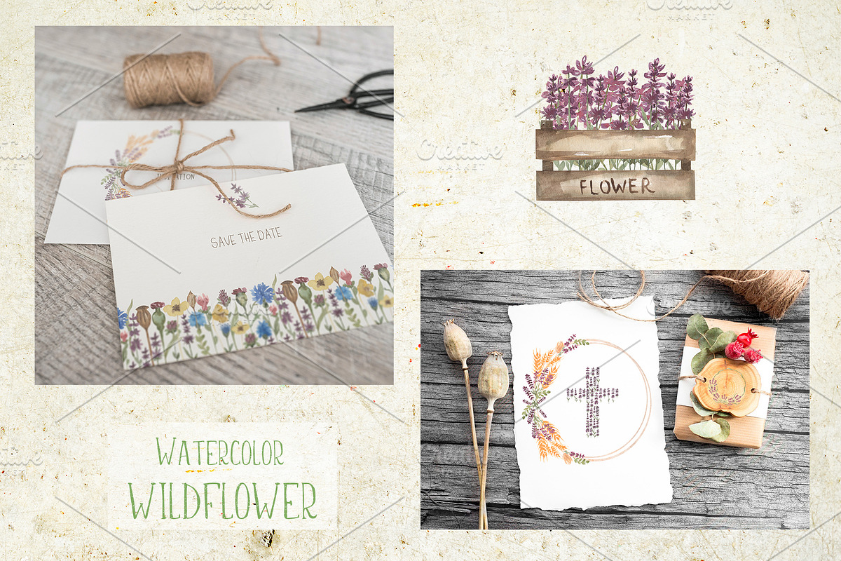 Wildflower bouquet, a Decorative Illustration by MayaNavits (Photo 5 of 14)