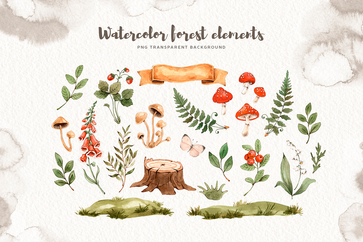 Watercolor Forest Little Animals set, an Animal Illustration by Alamella (Photo 5 of 17)