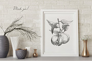 Hand Drawn Nuts set Vector, a Food Illustration by ON_lineart_store (Thumbnail 11 of 11)