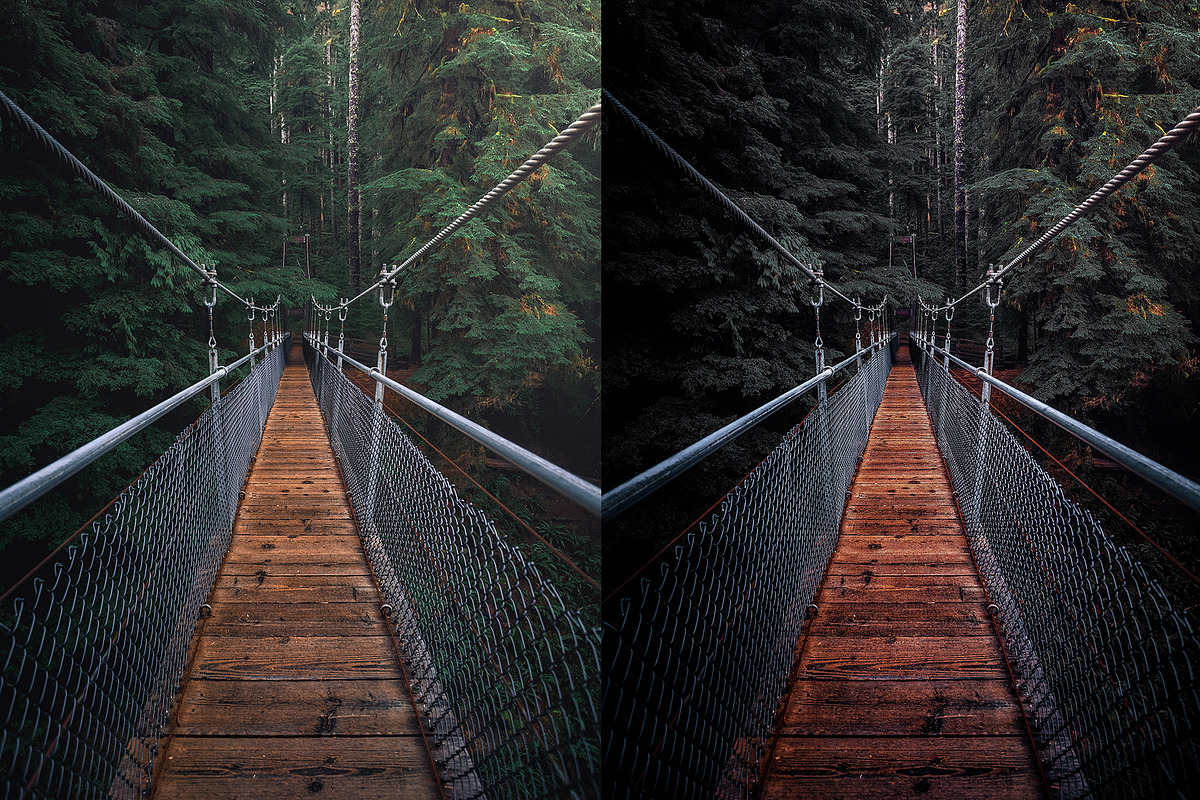 Crisp Adobe Lightroom Preset, a Preset Add-On by Voleshads (Photo 8 of 12)