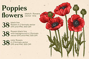 Flowers Poppies. Sketch vector, a Decorative Illustration by irina.vaneeva (Thumbnail 2 of 4)
