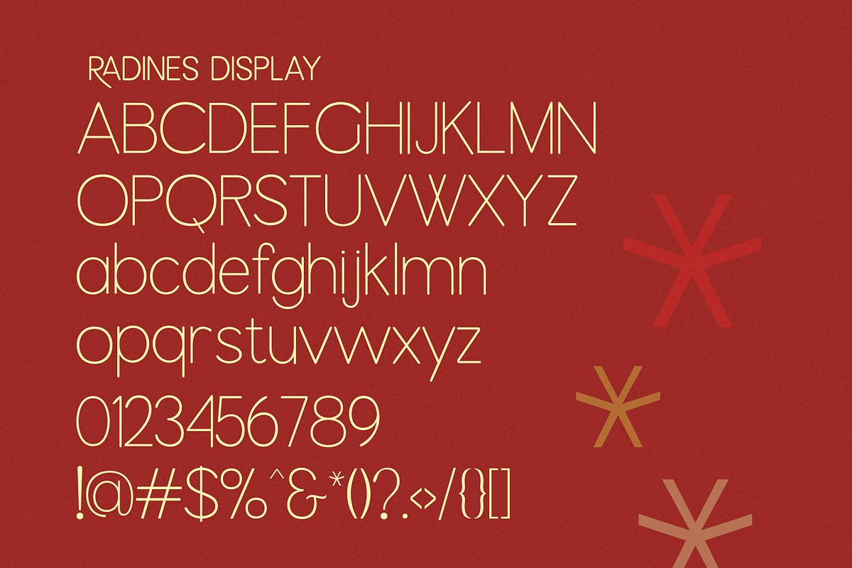 Radenes, a Serif Font by studiobasic (Photo 10 of 10)