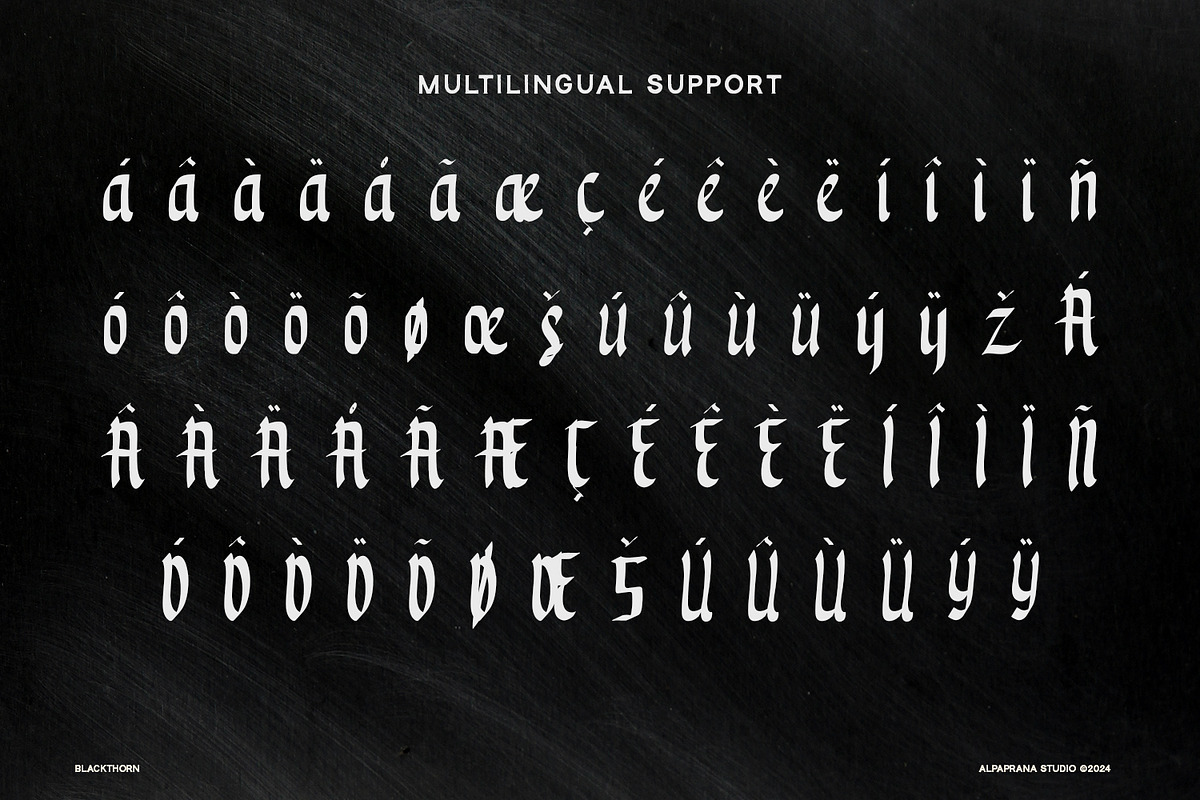 Blackthorn - Display Font, a Script Font by Alpaprana (Photo 8 of 9)
