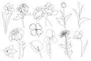 71 Flowers Continuous Line Set, a Decorative Illustration by Sunset&Sea Design (Thumbnail 3 of 8)