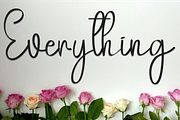 Hello Pumpkin, a Handwritten Font by FreshTypeINK (Thumbnail 4 of 8)