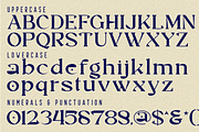Resilient Marshes - Fantasy Font, a Serif Font by 177Studio (Thumbnail 7 of 8)