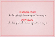 Homogenic - Script Font, a Script Font by HIRO.std (Thumbnail 14 of 14)