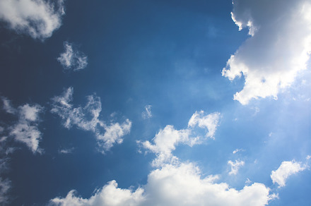 High ceiling office containing forest, sky, and abstract preview 6