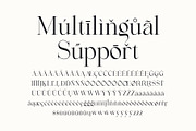 Rakige - Elegant Corporate Ligature, a Serif Font by Sealoung (Thumbnail 8 of 10)