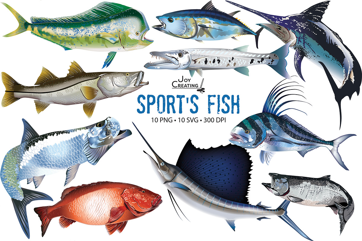 Sports Fish Vector Clipart, an Illustration by Joy Creating LLC