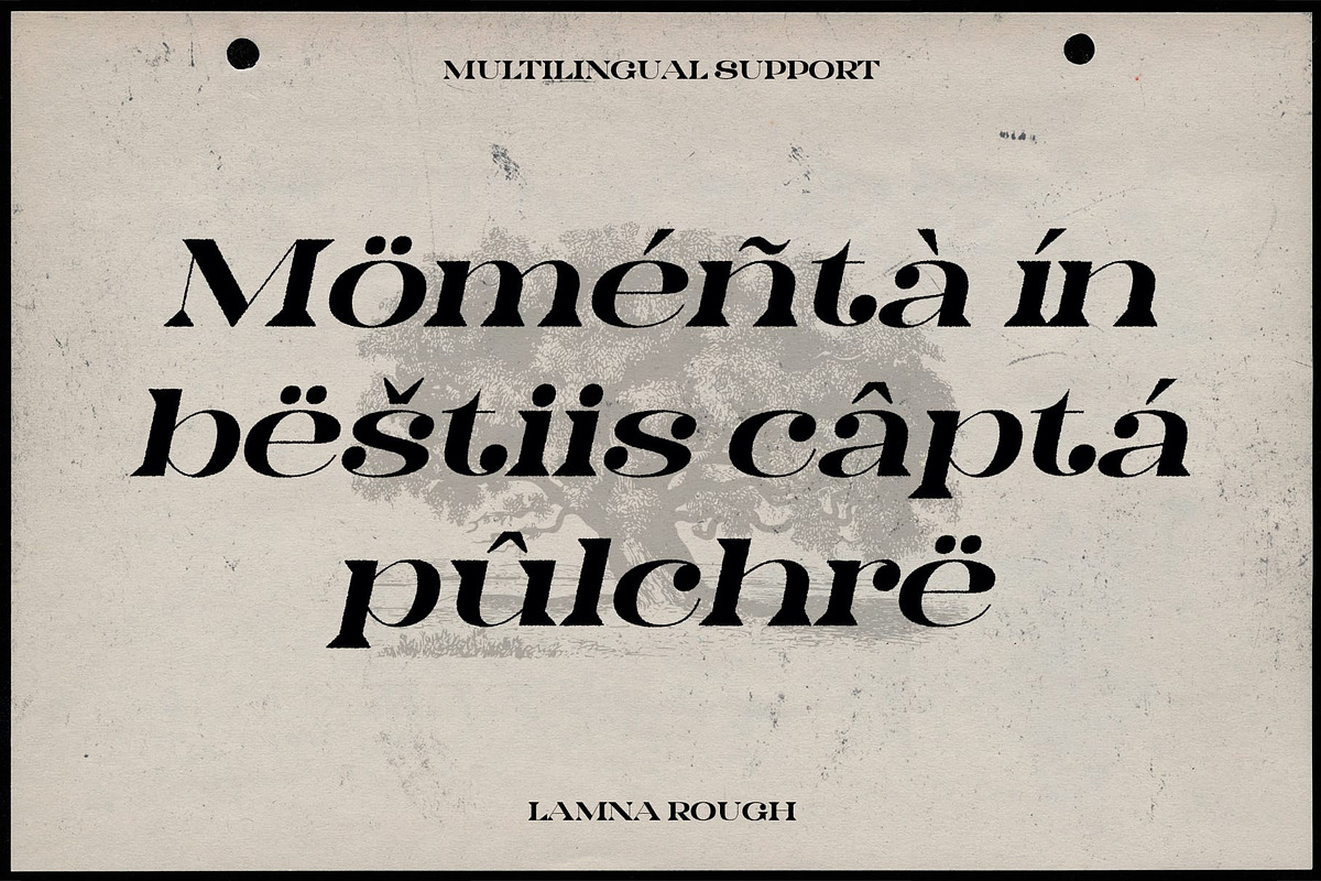 Lamna Rough, a Serif Font by Craft Supply Co. (Photo 6 of 8)