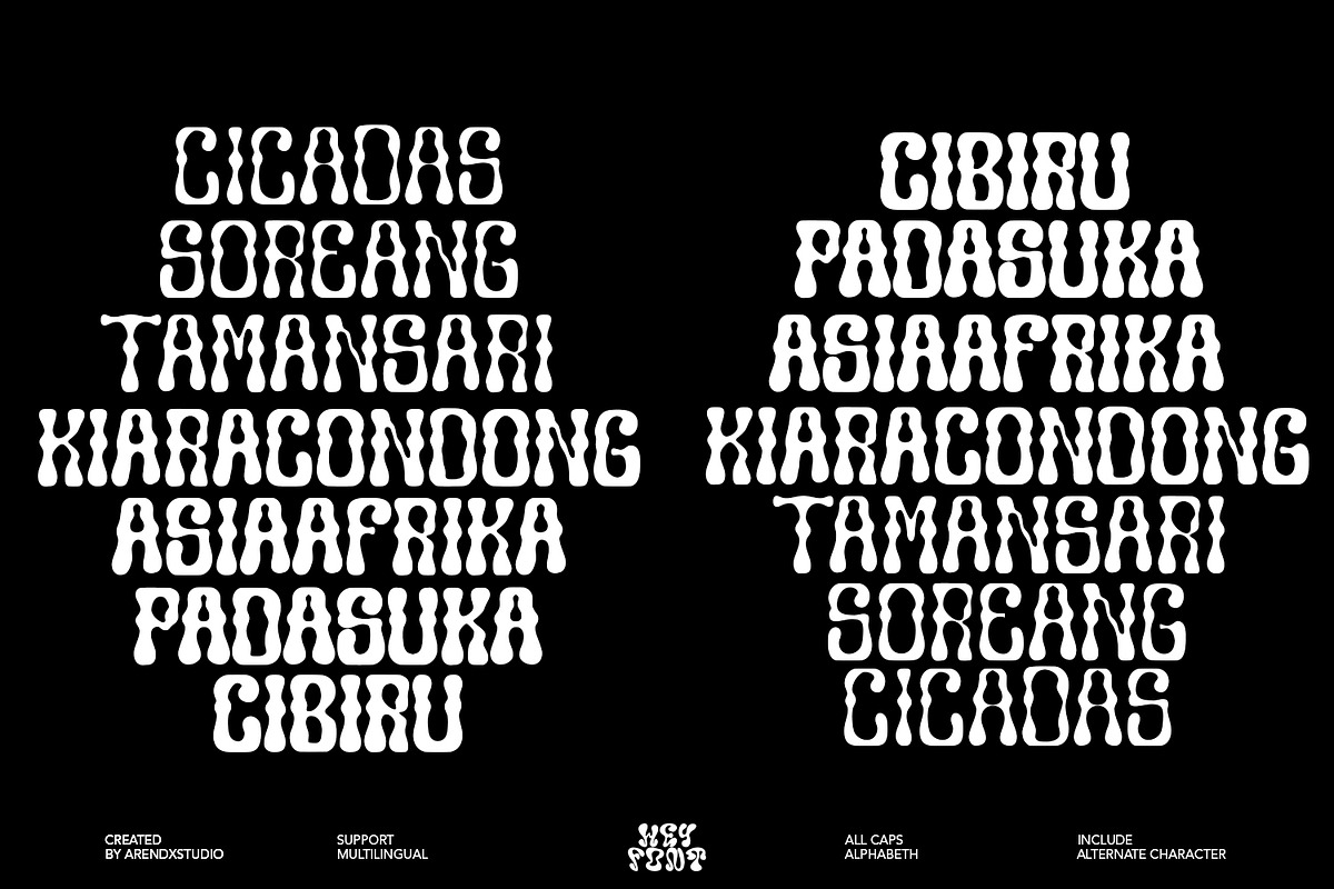 Pringle Unique Variable Font, a Font by HeyFonts (Photo 3 of 12)