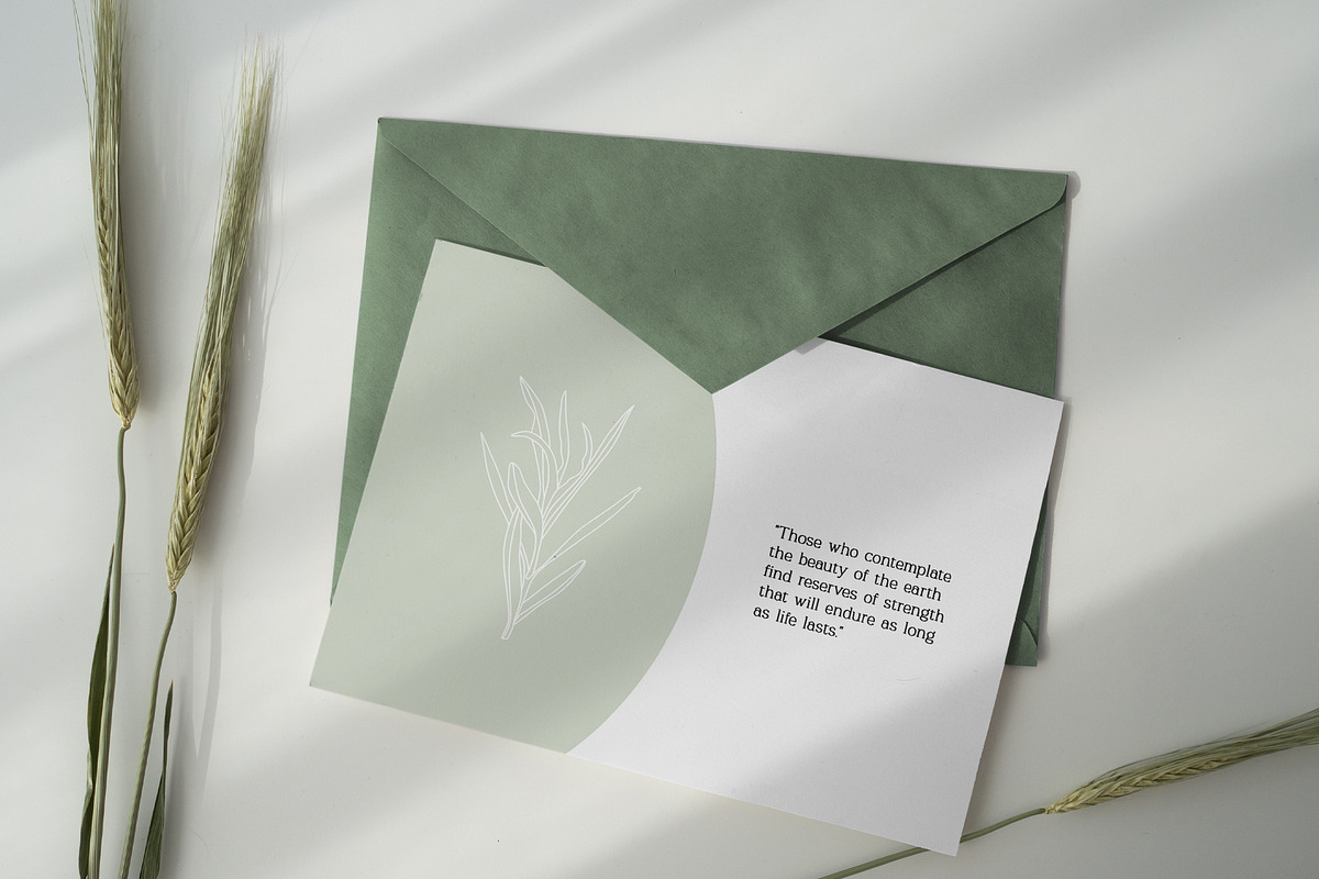 Vector Culinary Herbs & Spices, an Illustration by OM Creativ (Photo 6 of 6)