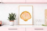 Seashell Illustration Clipart Set, an Illustration by Libby Wishes (Thumbnail 4 of 8)