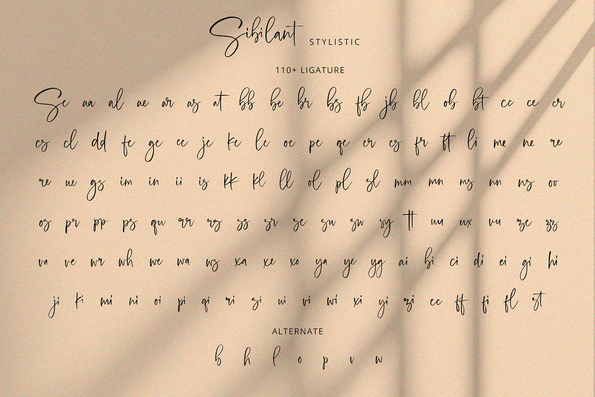 Sibilant - Handwritten Font, a Handwritten Font by Alpaprana (Photo 9 of 10)