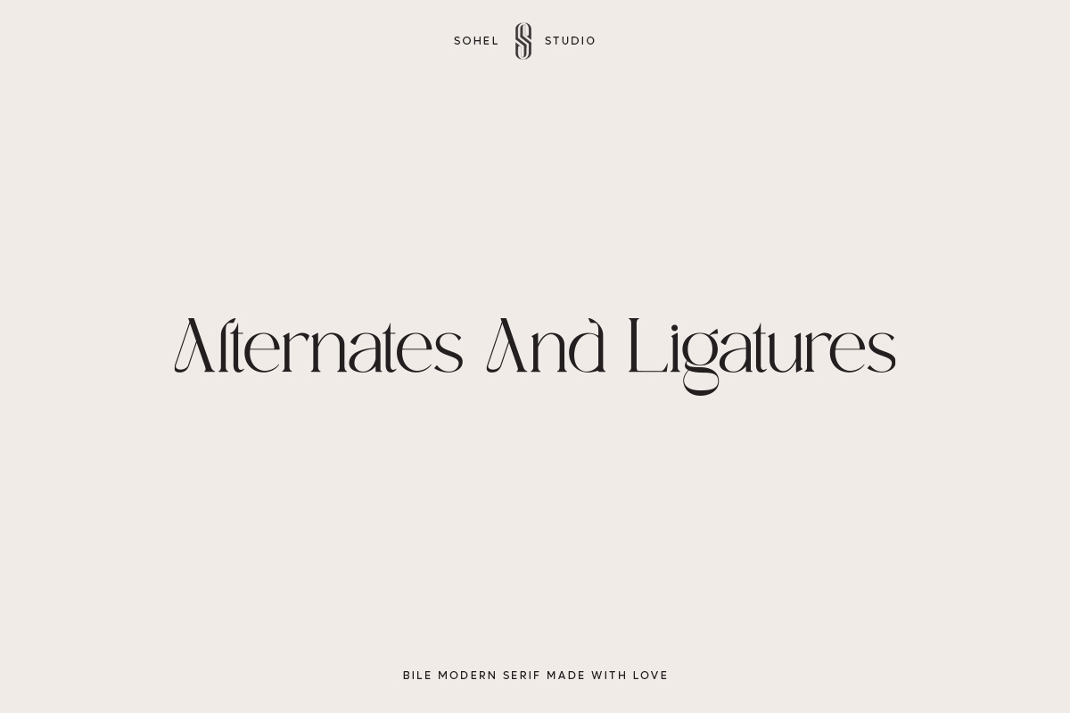 Bile - Jewelry Boutique Typeface, a Serif Font by Sohel Studio (Photo 11 of 11)