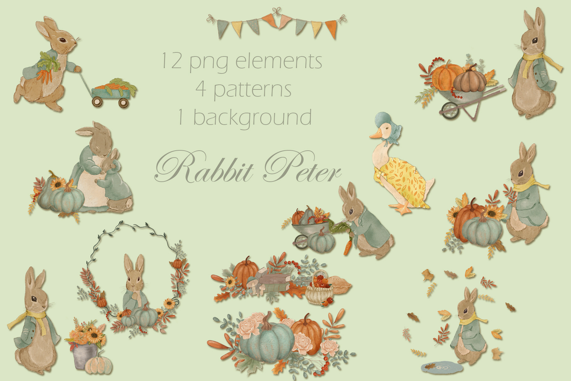 Rabbit Peter clipart and pattern