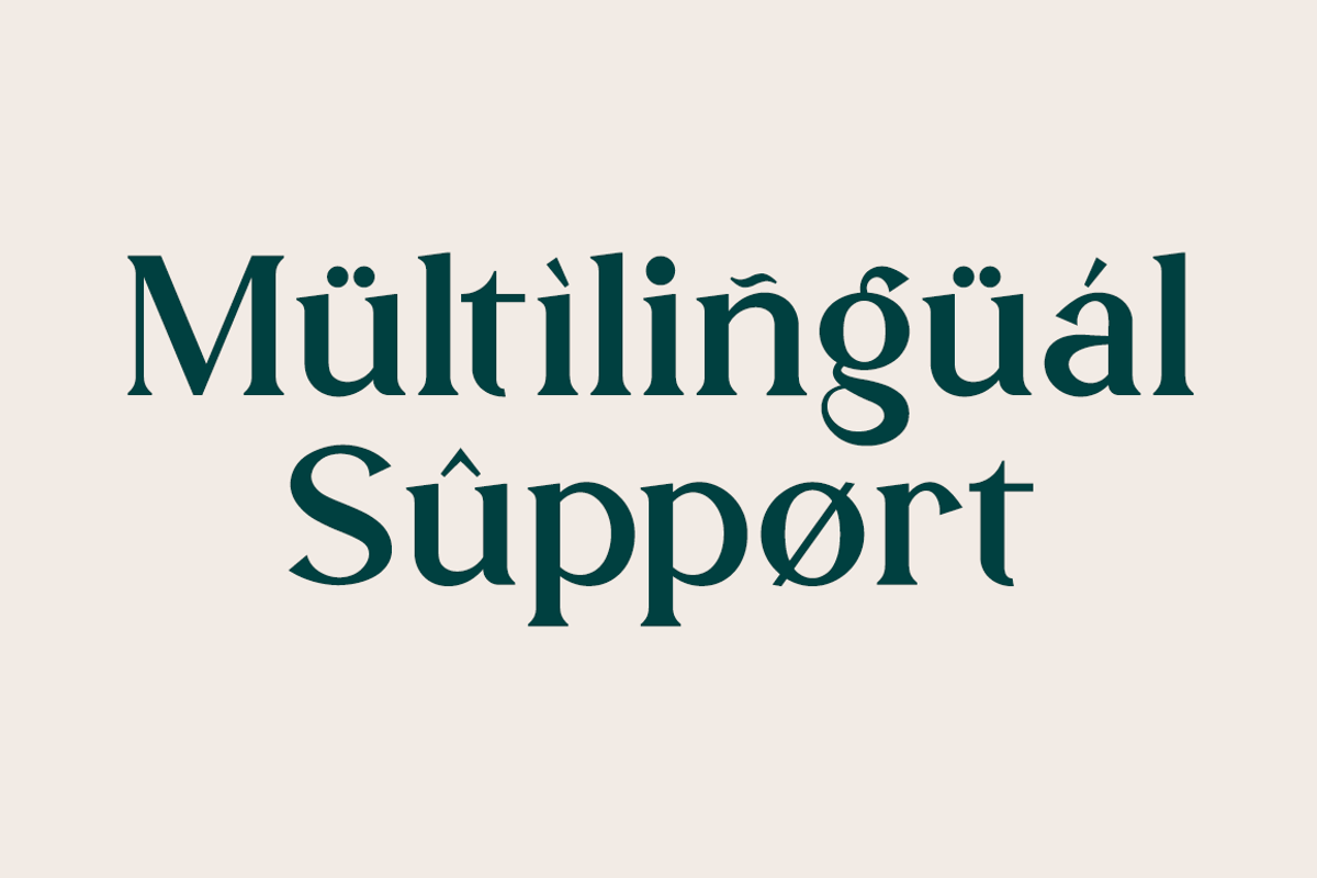 Miracle Display, a Serif Font by RockboyStd (Photo 11 of 12)