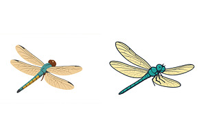 Colorful dragonflies in flight over, an Animal Photo by ZinetroN
