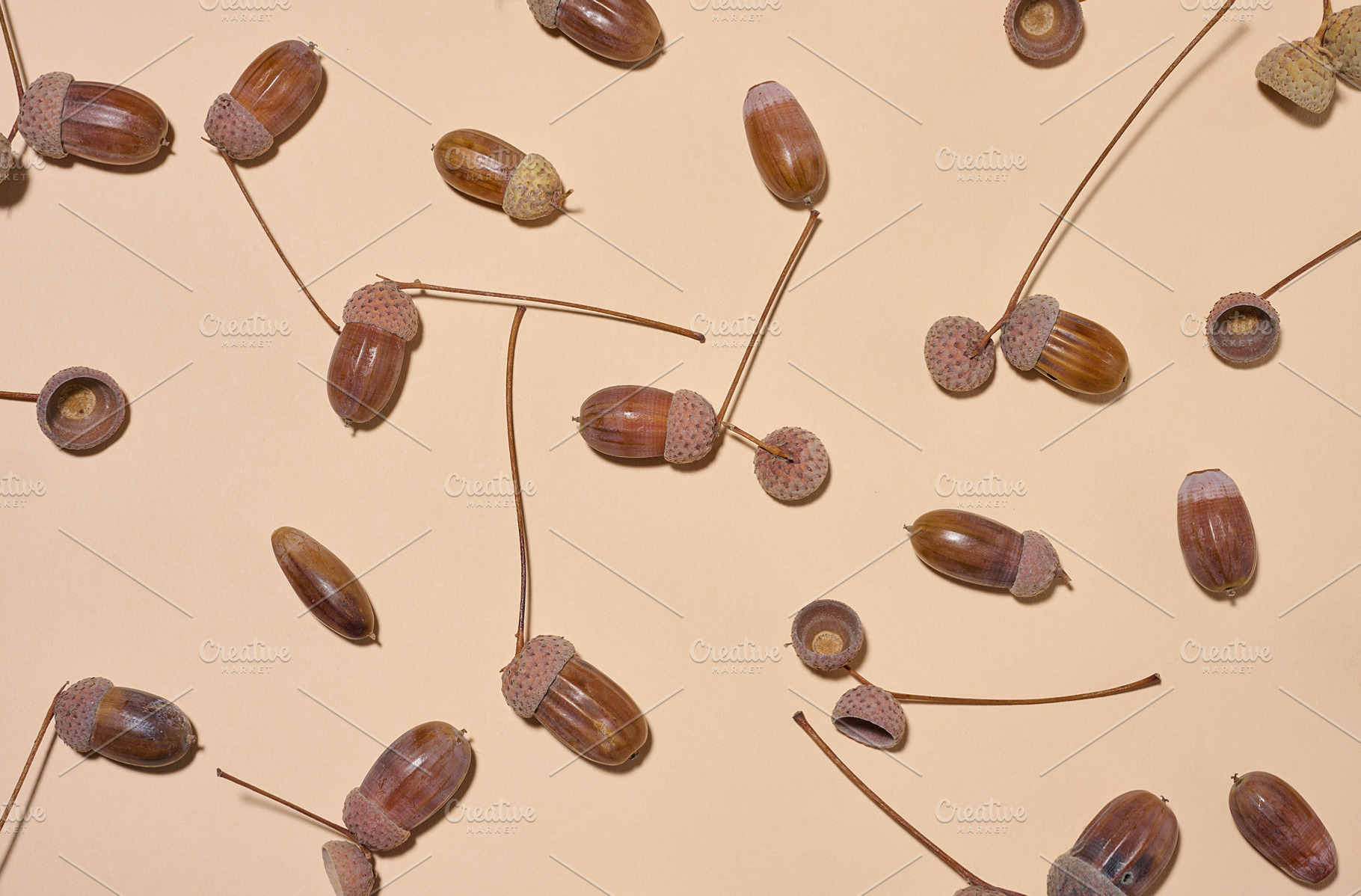 Top view of scattered acorns on a beige background, a Background Photo by ndanko