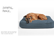 Pet Bed Mockups with Smart Object, a Product Mockup by mock-ups (Thumbnail 10 of 13)