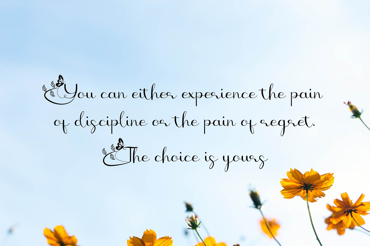 Butterfly - Script Font, a Script Font by Densu Creative (Photo 2 of 7)