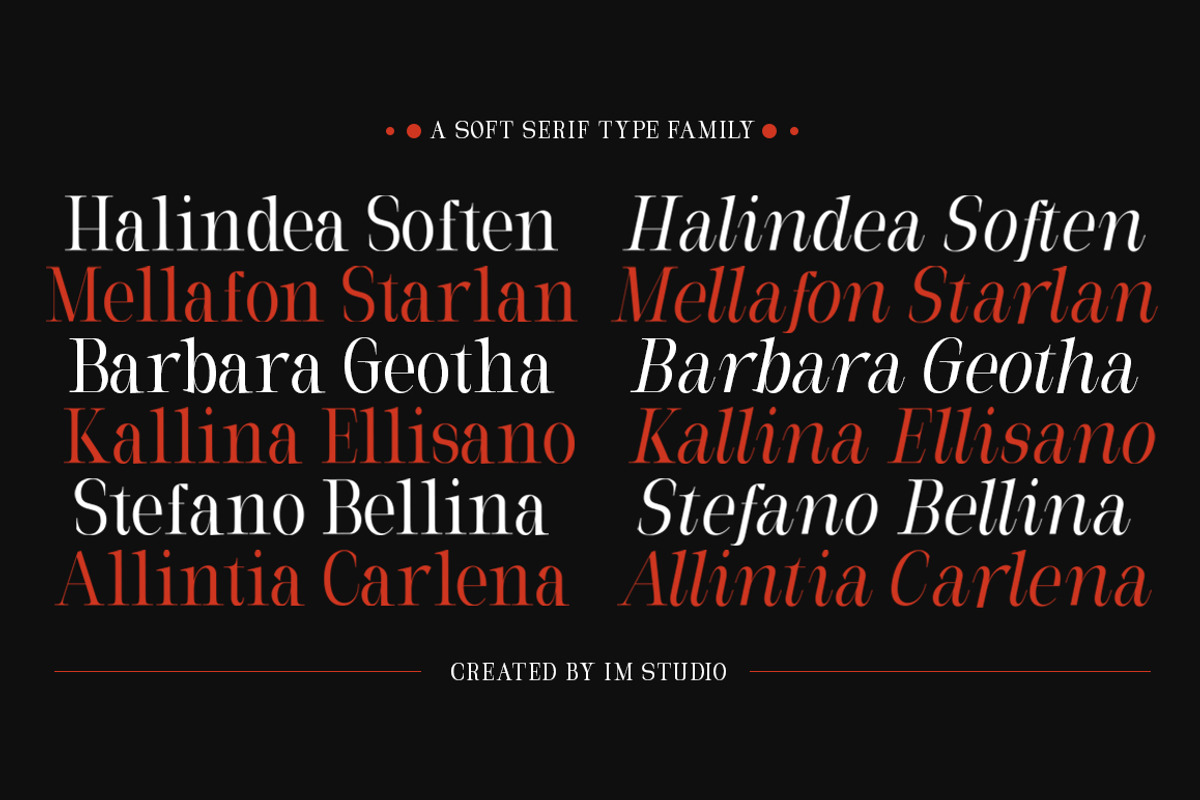 Milghera Serif, a Serif Font by IM Studio (Photo 8 of 12)